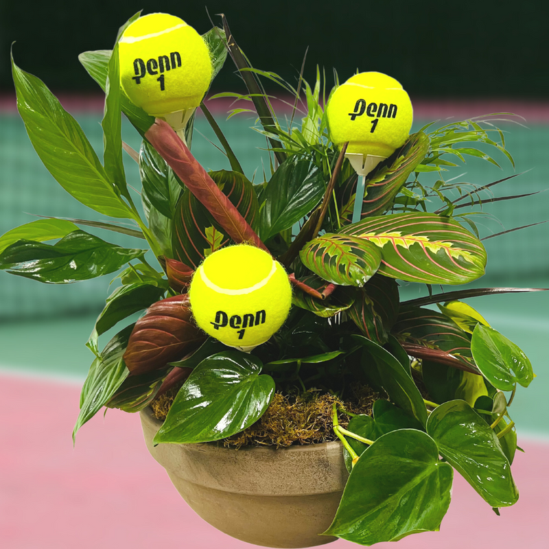 Courtside Garden